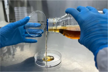 Análisis de alimentos laboratorios seilam