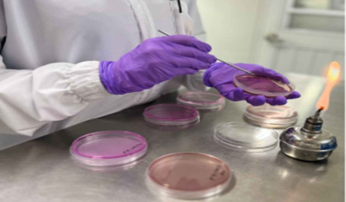 Laboratorio SEILAM